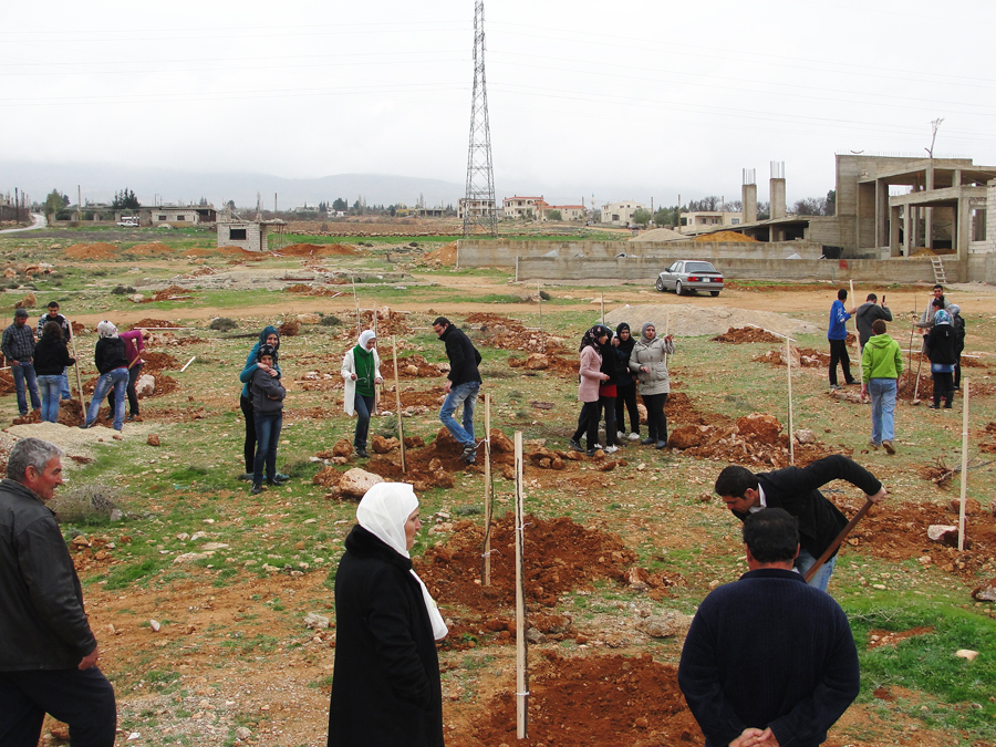 Youth are planting trees in Hermel