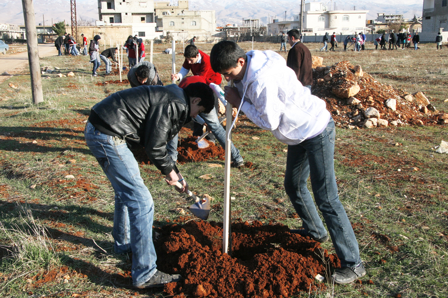 Youth are planting trees in Baalbeck