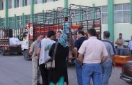 LOST and Lebanon Industry Value Chain Development (LIVCD)/USAID Kick off distribution of 6000 chickens to 200 Underprivileged Lebanese Families in Northern Bekaa