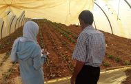 Agriculture and Value Chain Development in Baalbeck-Hermel